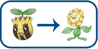 grass type sunkern evolution