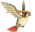 Pidgeot icon